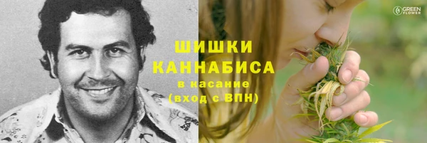 герыч Козельск