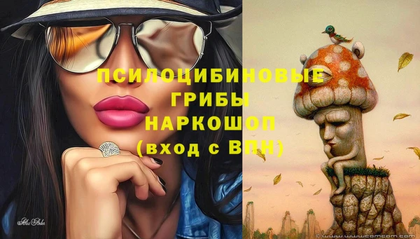 герыч Козельск