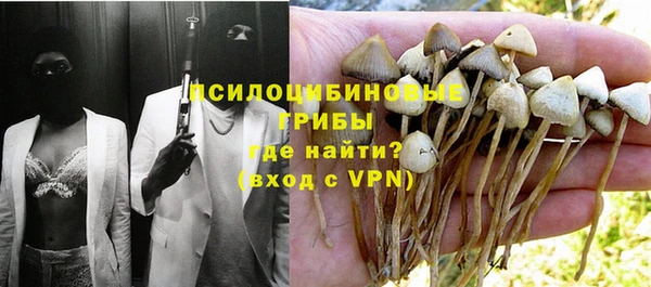 a pvp Кодинск