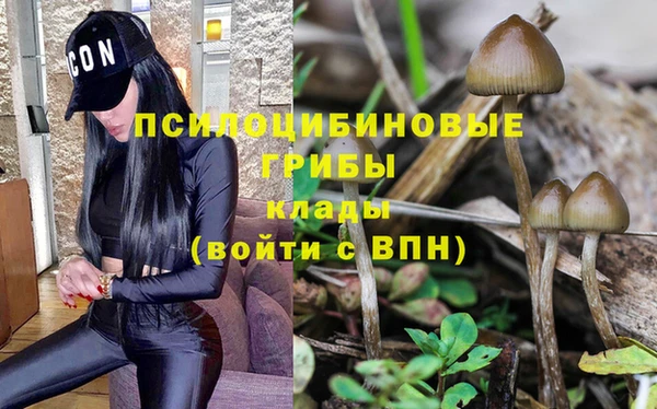 герыч Козельск