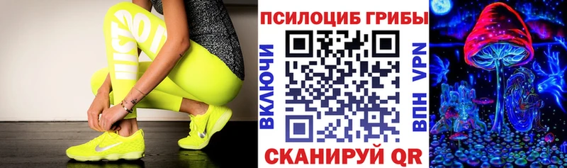 Купить где  Верхний Тагил  Псилоцибиновые грибы Psilocybine cubensis 